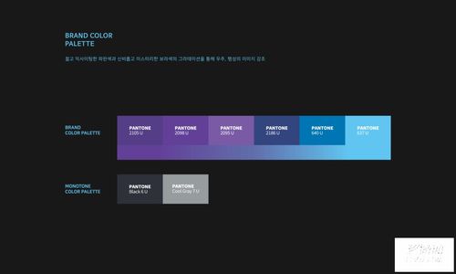 虚实交融，智启未来——虚拟现实人工智能开发公司VI设计探索