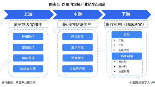 预见2023 中国医用内窥镜行业全景图谱与AI应用软件开发新篇章